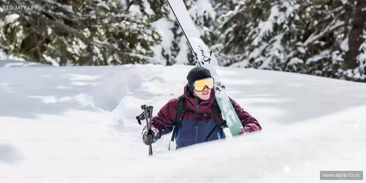 🎁 限量周边,手慢无!正版授权好物,让热爱触手可及!